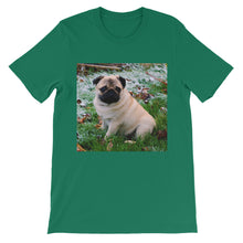 Pug t-shirt