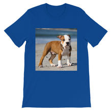 Dog t-shirt