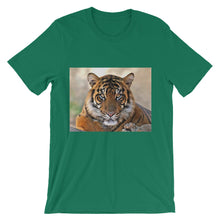 Tiger t-shirt