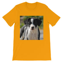 Dog t-shirt