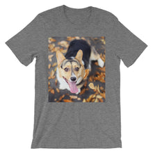 Corgi t-shirt