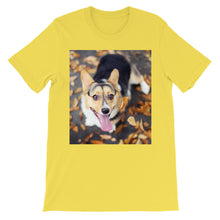 Corgi t-shirt