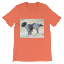Dog t-shirt