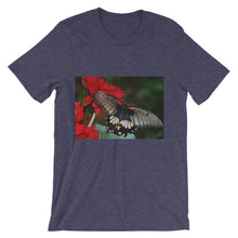 Butterfly t-shirt