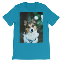 Corgi t-shirt