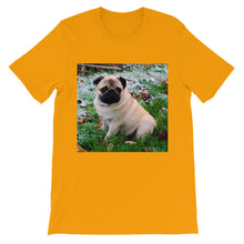 Pug t-shirt