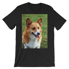 Corgi t-shirt