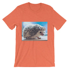 Hedgehog t-shirt