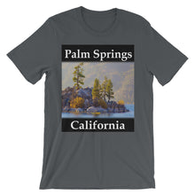 Palm Springs t-shirt