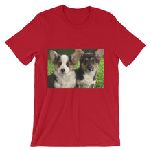 Corgis t-shirt