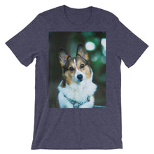 Corgi t-shirt
