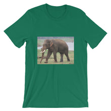 Endangered Species t-shirt