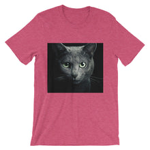 Cat t-shirt