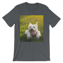 Dog t-shirt