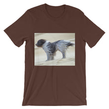 Dog t-shirt