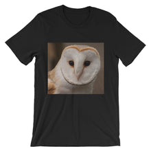Owl t-shirt