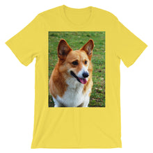 Corgi t-shirt