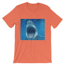 Shark t-shirt