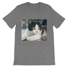 Kitten t-shirt