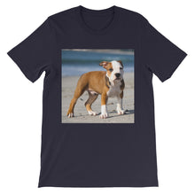 Dog t-shirt