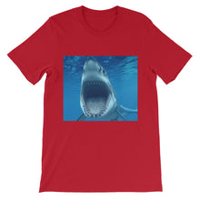 Shark t-shirt