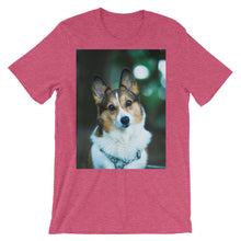 Corgi t-shirt