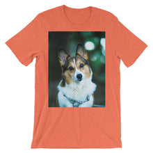 Corgi t-shirt