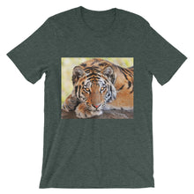 Tiger t-shirt