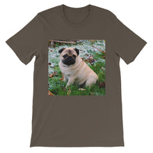 Pug t-shirt