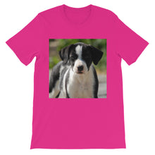 Dog t-shirt