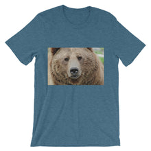 Bear t-shirt