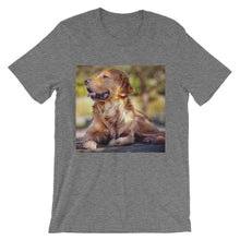 Dog t-shirt