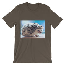 Hedgehog t-shirt