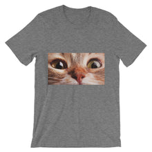 Cat t-shirt