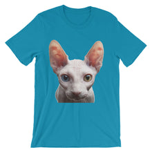 Cat t-shirt