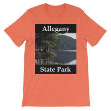 Allegany State Park t-shirt