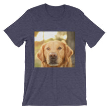 Dog t-shirt