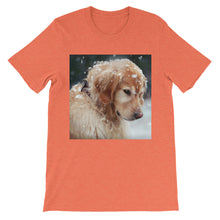 Dog t-shirt