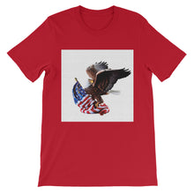 American Eagle t-shirt