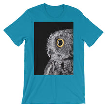 Owl t-shirt