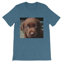 Puppy t-shirt