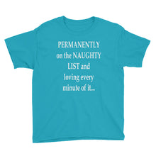 Permanently on the Naughty List Youth Short Sleeve T-Shirt