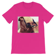 Dog with glasses t-shirt
