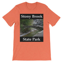 Stony Brook t-shirt