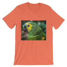Macaw t-shirt