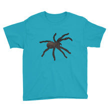 Spider Youth Short Sleeve T-Shirt