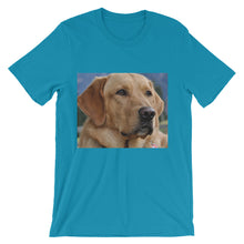 Dog t-shirt