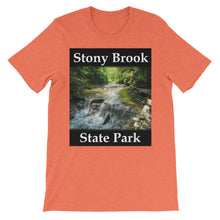 Stony Brook t-shirt