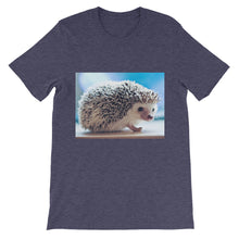 Hedgehog t-shirt