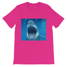 Shark t-shirt